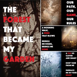 Book: The Forest that became my garden